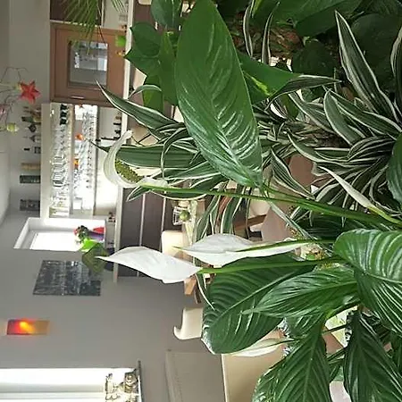 Hotel Beuss 3*